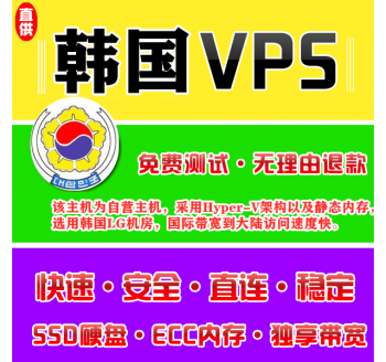 韩国VPS推荐8912M购买，seo网站单页源码下载